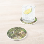 Black Tail Deer Onderzetter (Zijkant)