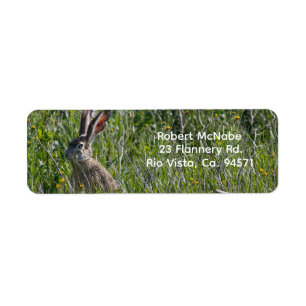 Black-Tailed Jackrabbit Retour Adreslabel Etiket