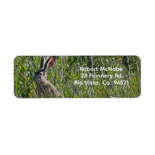 Black-Tailed Jackrabbit Retour Adreslabel Etiket (Voorkant)