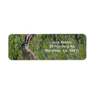 Black-Tailed Jackrabbit Retour Adreslabel Etiket