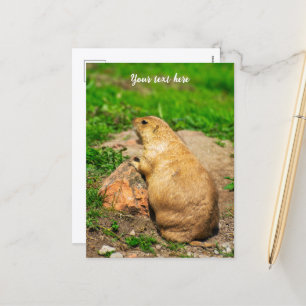 Black-Tailed Prairie Dog Feestdagenkaart