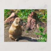 Black-Tailed Prairie Dog Feestdagenkaart (Voorkant)