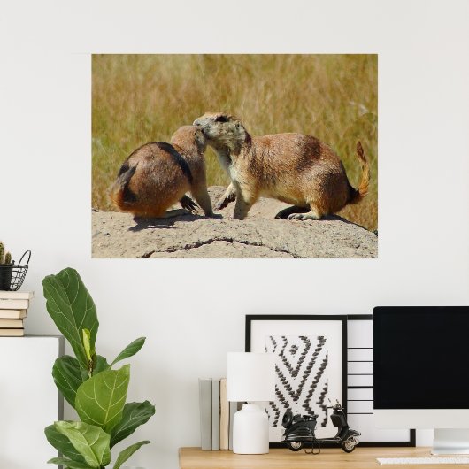 "Black-tailed Prairie Dog Framed Print (Thuiskantoor)