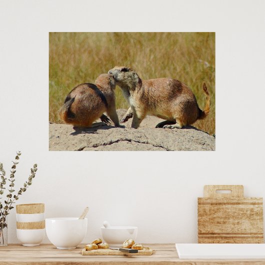 "Black-tailed Prairie Dog Framed Print (Keuken)