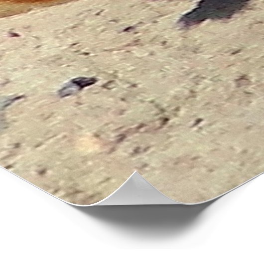 "Black-tailed Prairie Dog Framed Print (Hoek)