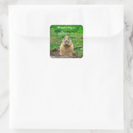 Black-tailed Prairie Dog Vierkante Sticker (Tas)