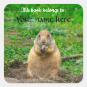 Black-tailed Prairie Dog Vierkante Sticker (Voorkant)