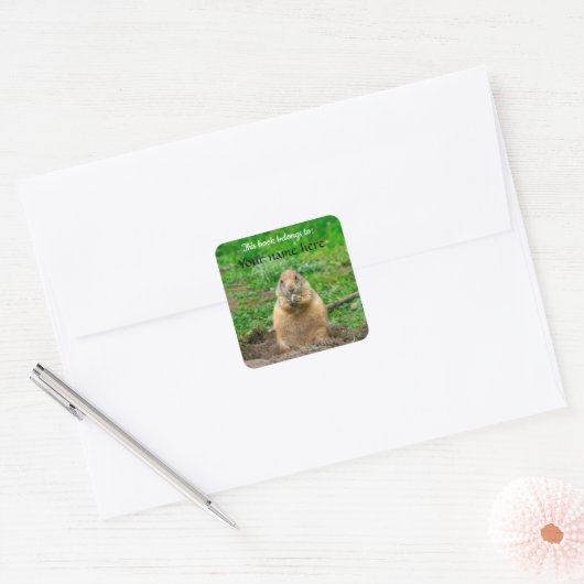 Black-tailed Prairie Dog Vierkante Sticker (Envelop)