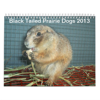 Black Tailed Prairie Dogs - Agenda 2013 Kalender
