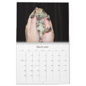 Black Tailed Prairie Dogs - Agenda 2013 Kalender (Mar 2026)