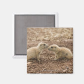 Black Tailed Prarie Marmot Magneet (Voorkant / Achterkant)