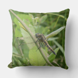 Black-tailed Skimmer Throw Pillow Kussen