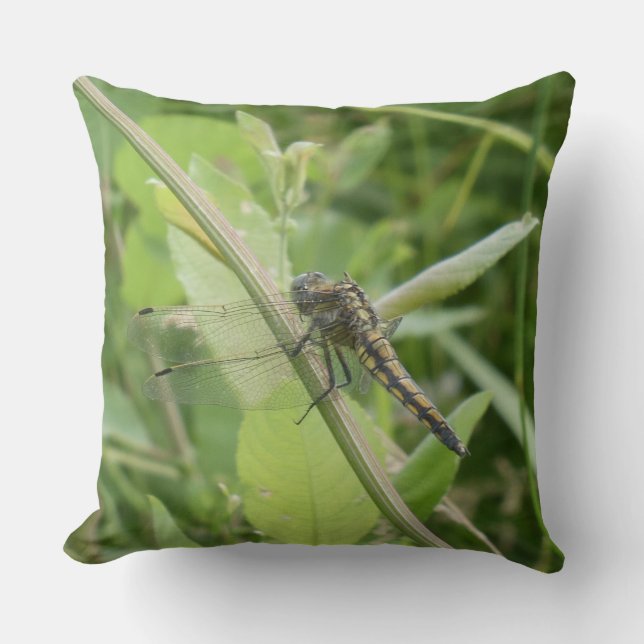 Black-tailed Skimmer Throw Pillow Kussen (Voorkant)