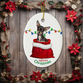 Black Tan Chihuahua Dog in Gift Bag met Kerstmis Keramisch Ornament