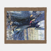 Black & Tan Coonhounds Treeing Fleece Blanket Deken (Voorkant (Horizontaal))