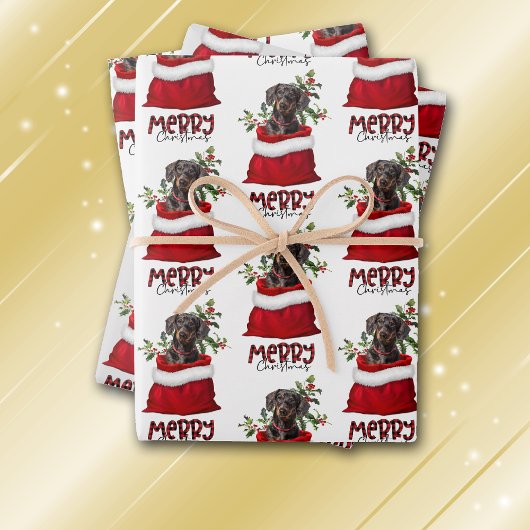 Black Tan Dachshund Dog in Holiday Gift Bag Inpakpapier Vel