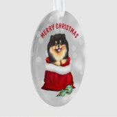 Black Tan Pomeranian Gift Surprise Ornament (voorkant)