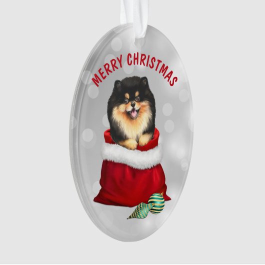 Black Tan Pomeranian Gift Surprise Ornament (voorkant)