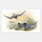 Black Tern Rechthoekige Sticker (Voorkant)