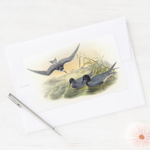 Black Tern Rechthoekige Sticker