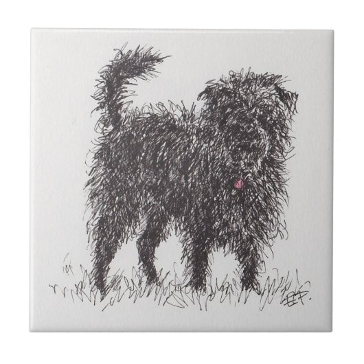 Black Terrier Ceramic Tile Tegeltje (Voorkant)