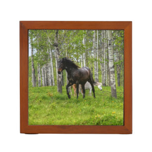 Black Thoroughbred Percheron Horse Photo 2 Pennenhouder