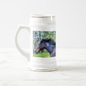 Black Thoroughbred Percheron Horse Photo Bierpul (Links)