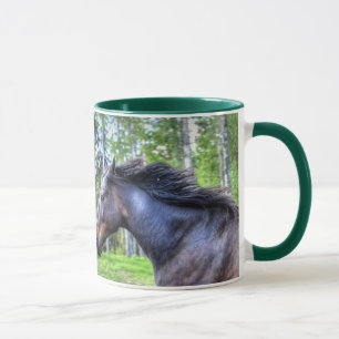 Black Thoroughbred Percheron Horse Photo Mok