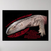 Black Throat Monitor Poster (Voorkant)
