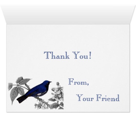 Black Throated Blue Warbler Bird Hartelijk dank (Binenzijde Horizontaal (Onderkant))