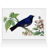 Black Throated Blue Warbler Bird Hartelijk dank (Binnen Horizontaal (Boven))