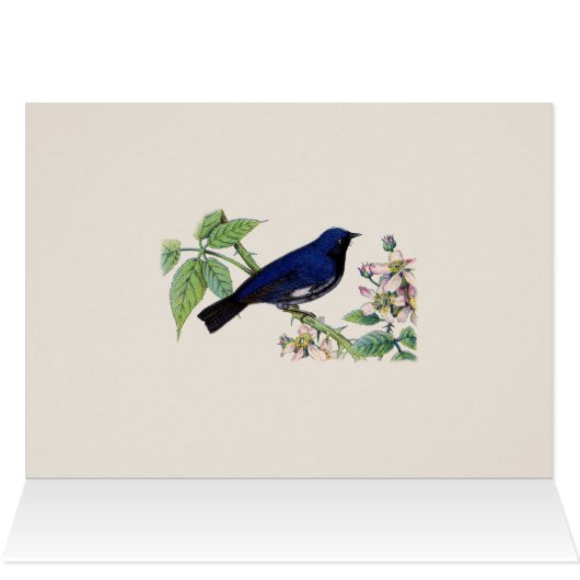Black Throated Blue Warbler Bird Hartelijk dank (Binnen Horizontaal (Boven))