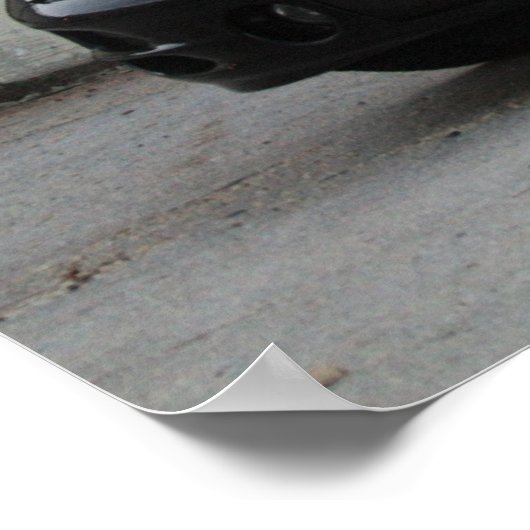 Black Trans Poster (Hoek)