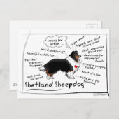 Black tri Sheltie Briefkaart (Voorkant / Achterkant)
