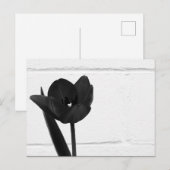 Black Tulip | Briefkaart (Voorkant / Achterkant)