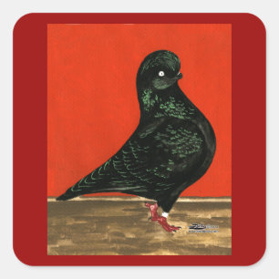 Black Tumbler Pigeon Waterverf Vierkante Sticker
