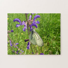 Black Veined White Butterfly Photo Puzzle Legpuzzel