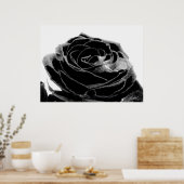 Black Velvet Poster (Keuken)