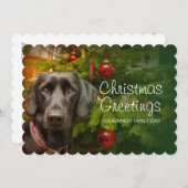 Black vrouw Labrador Retriever Feestdagenkaart (Voorkant / Achterkant)