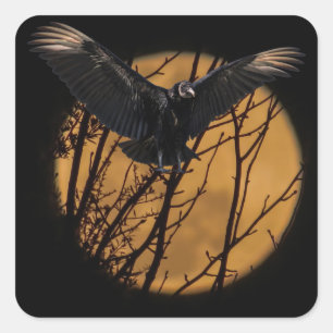 Black Vulture bij volle maan Halloween Vierkante Sticker