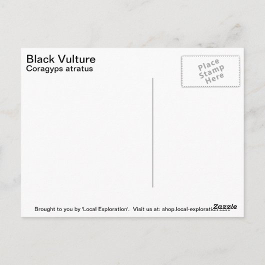 Black Vulture Briefkaart (Achterkant)