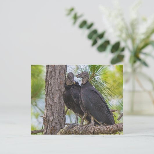 Black Vulture Briefkaart (Staand voorkant)