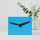 Black Vulture Briefkaart (Staand voorkant)