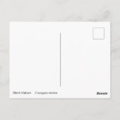 Black Vulture Briefkaart (Achterkant)