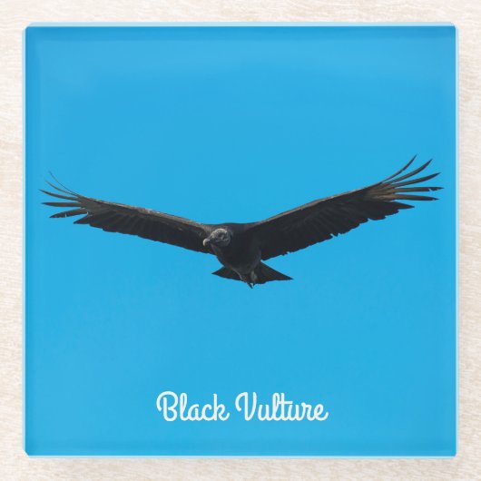 Black Vulture Glazen Onderzetter (Voorkant)