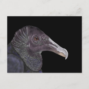 Black Vulture Illustration Briefkaart