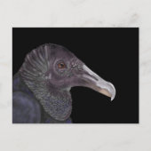Black Vulture Illustration Briefkaart (Voorkant)