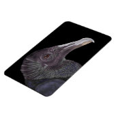 Black Vulture Illustration Magneet (Linkerzijde)