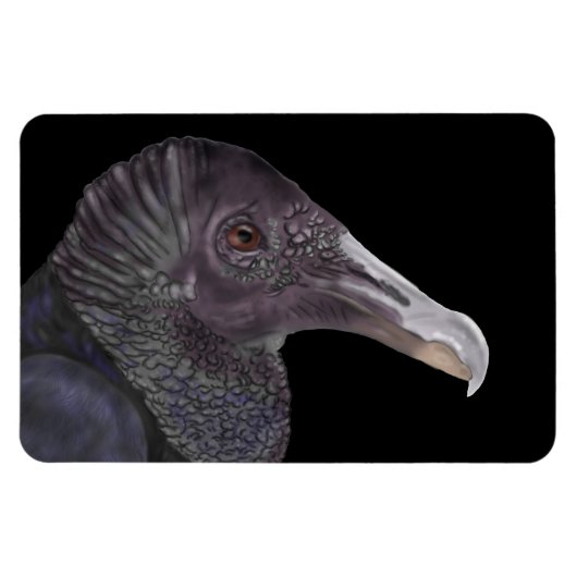 Black Vulture Illustration Magneet (Horizontaal)