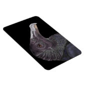 Black Vulture Illustration Magneet (Rechterzijde)
